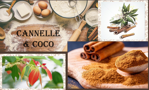 The Coco Cannelle Lab